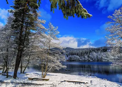 Kerst in het Zwarte Woud, Endingen Zwarte Woud Duitsland