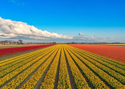 Fietscruise voorjaarstour tulpen en Nederlands erfgoed met De Holland Trektocht Nederland