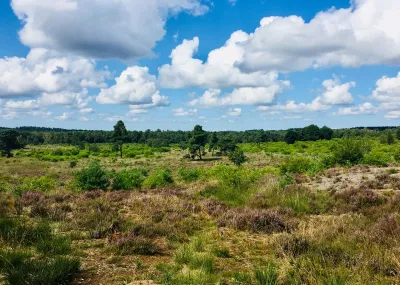 Grand tour de Hoge Veluwe 7 daagse fietsreis Veluwe Nederland