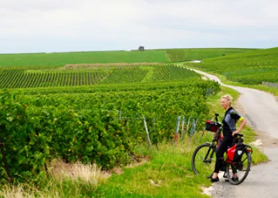 Bubbels en fietsen door de Champagne Champagne Ardennen Frankrijk
