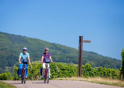 Rijnroute etappe 2 van Konstanz naar Offenburg Rijn Duitsland