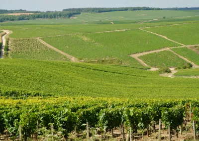 Bourgondië van Côte dOr tot Mâconnais Bourgogne Franche Comté Frankrijk