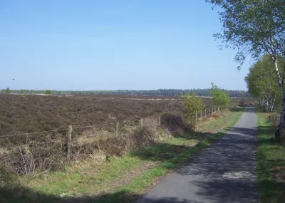 Gravel Veluwe en Utrechtse Heuvelrug Veluwe Nederland