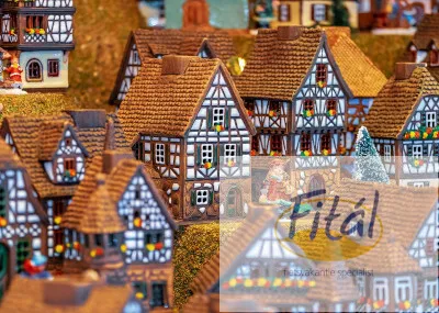Kerstcruise Magdeburg Berlijn Trektocht Nederland