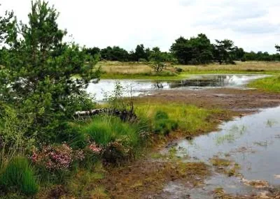 Wandelvakantie Twente Overijssel Nederland