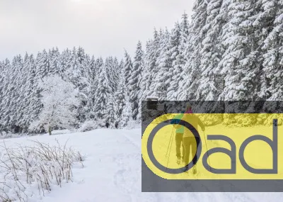 langlauf en wandelreis mieminger plateau Olympiaregion Seefeld Oostenrijk