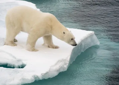winterwandelen Groepsrondreis Spitsbergen Trektocht Noorwegen