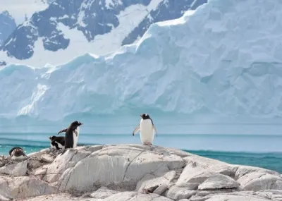 winterwandelen Groepsrondreis Antarctica, Falklands en South Georgia Trektocht Antarctica