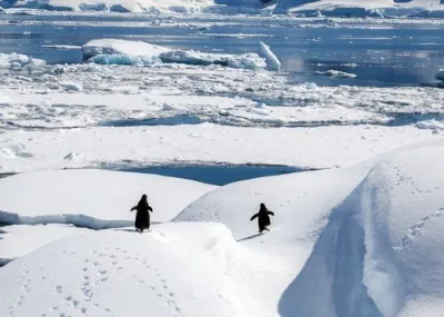 winterwandelen Groepsrondreis Antarctica Trektocht Antarctica