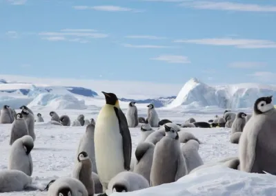 winterwandelen Groepsrondreis Antarctica Snow Hill eiland Trektocht Antarctica