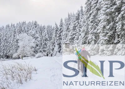 Bad Hindelang Langlaufen en sneeuwwandelen in de Allgäu Allgäu Duitsland