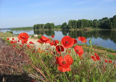 Fietsvakantie Loire, Orléans Angers Loire Frankrijk