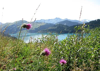 Fietsvakantie Noordelijke Alpen Alpen Frankrijk