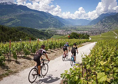 Fietsvakantie Wallis Wallis Zwitserland