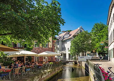 Fietsvakantie Zwarte woud Zwarte Woud Duitsland