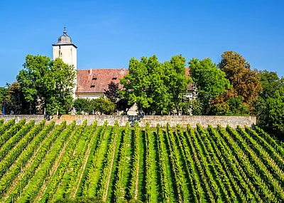 Fietsvakantie Main, Lohr en Volkach Trektocht Duitsland