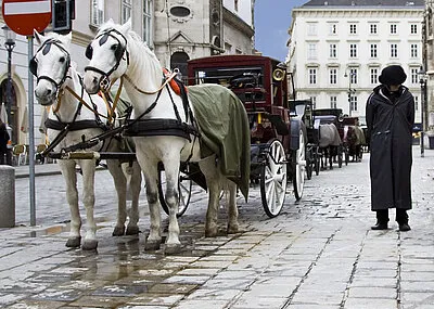 Fietsvakantie Wenen Graz Overige Oostenrijk